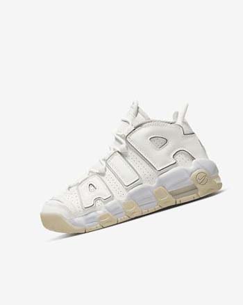 Nike Air More Uptempo Blancos Marrom Azules | MX 2992